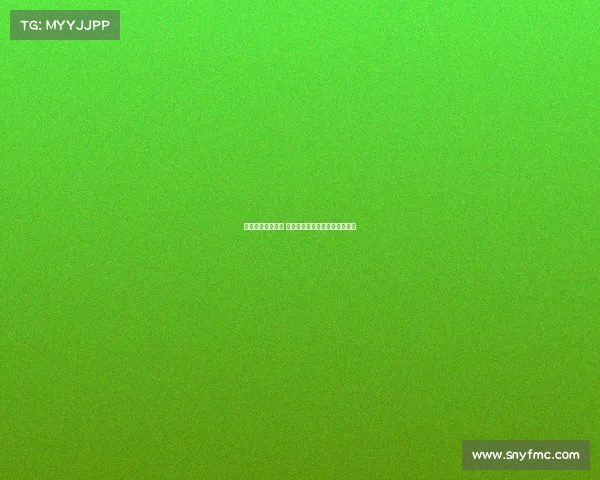 网球比赛全程解析 从热身到颁奖典礼的每一个环节